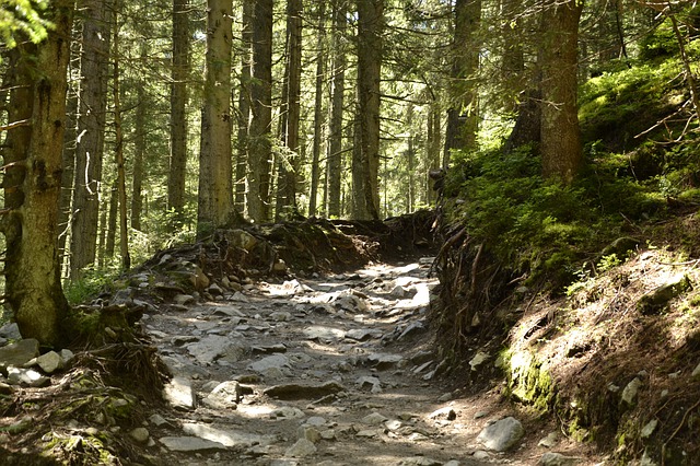 Zakopane jest piękne nie tylko zimą