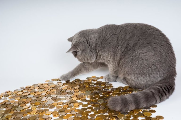 Co to jest refinansowanie pożyczki? Na czym polega?